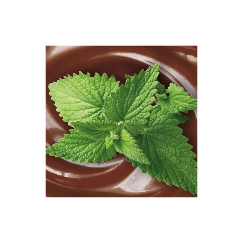 Chocolat Menthe 1 sachet