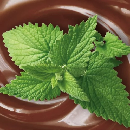 Chocolat Menthe 1 sachet