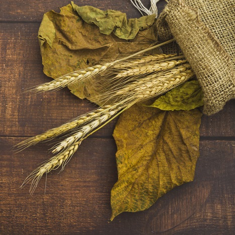 café orzo bio nespresso